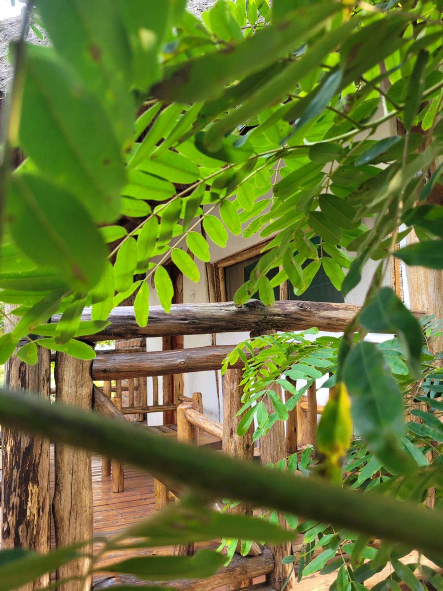 Songbird Safari Lodge & Campsite Katunguru Экстерьер фото